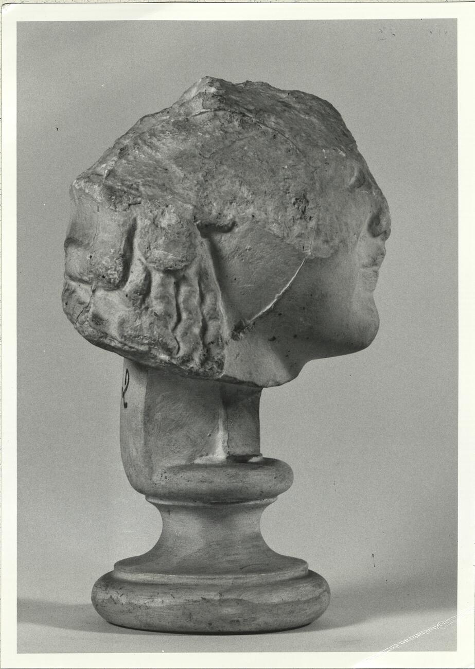 calco di scultura Testa di Atena 142 photo