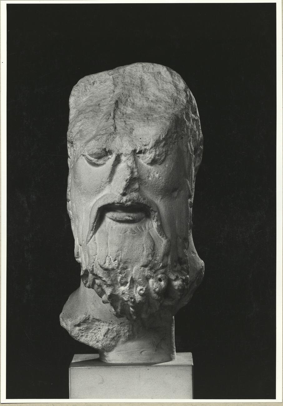 calco di scultura Gruppo dei Tirannicidi: testa di Aristogitone 155 photo