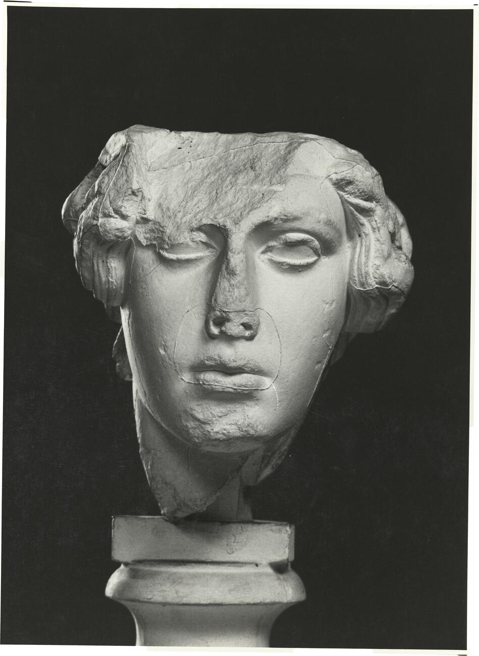 calco di scultura Testa di Atena 273 photo