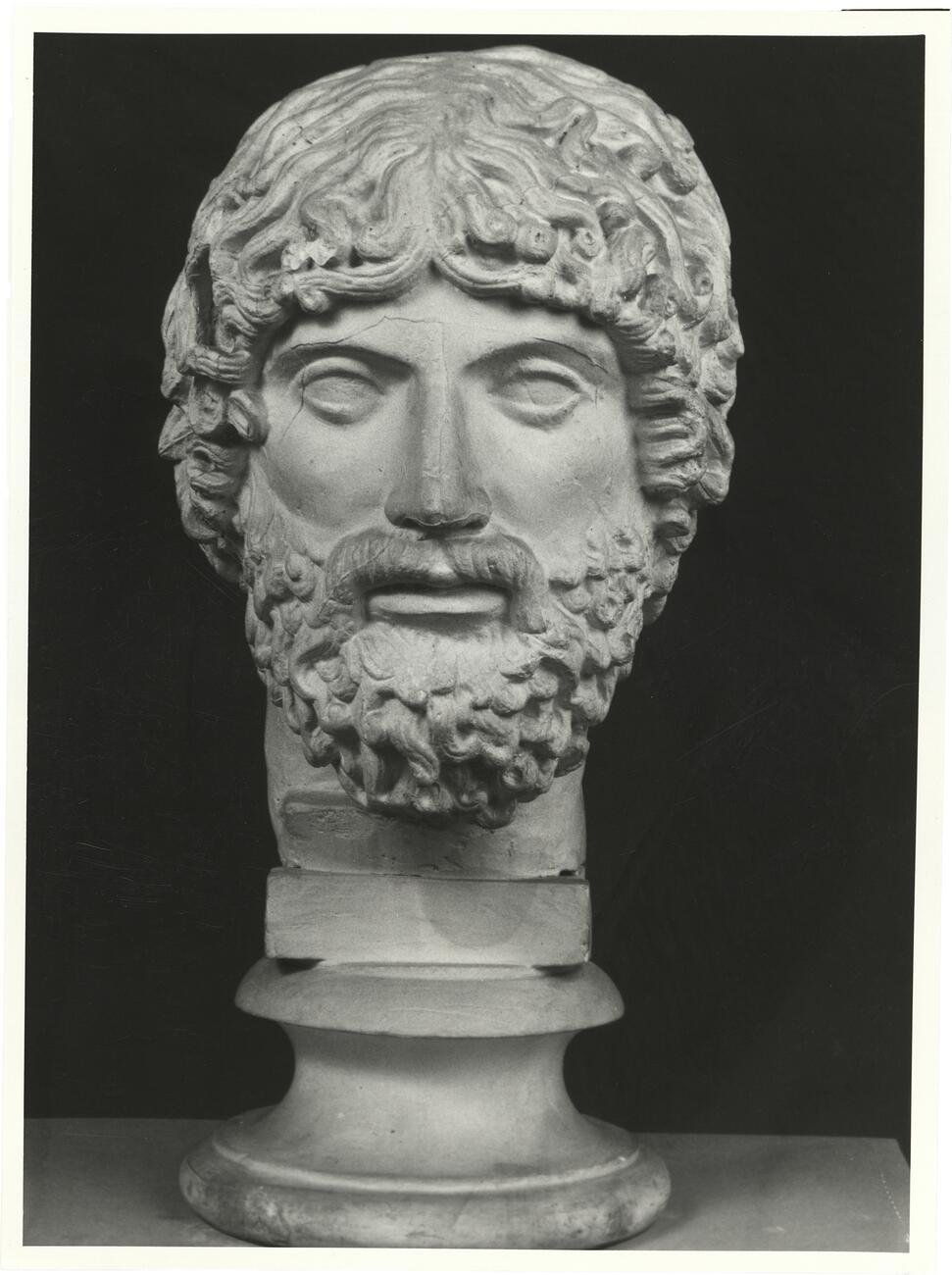 calco di scultura Testa dello Zeus tipo Dresda 286 photo