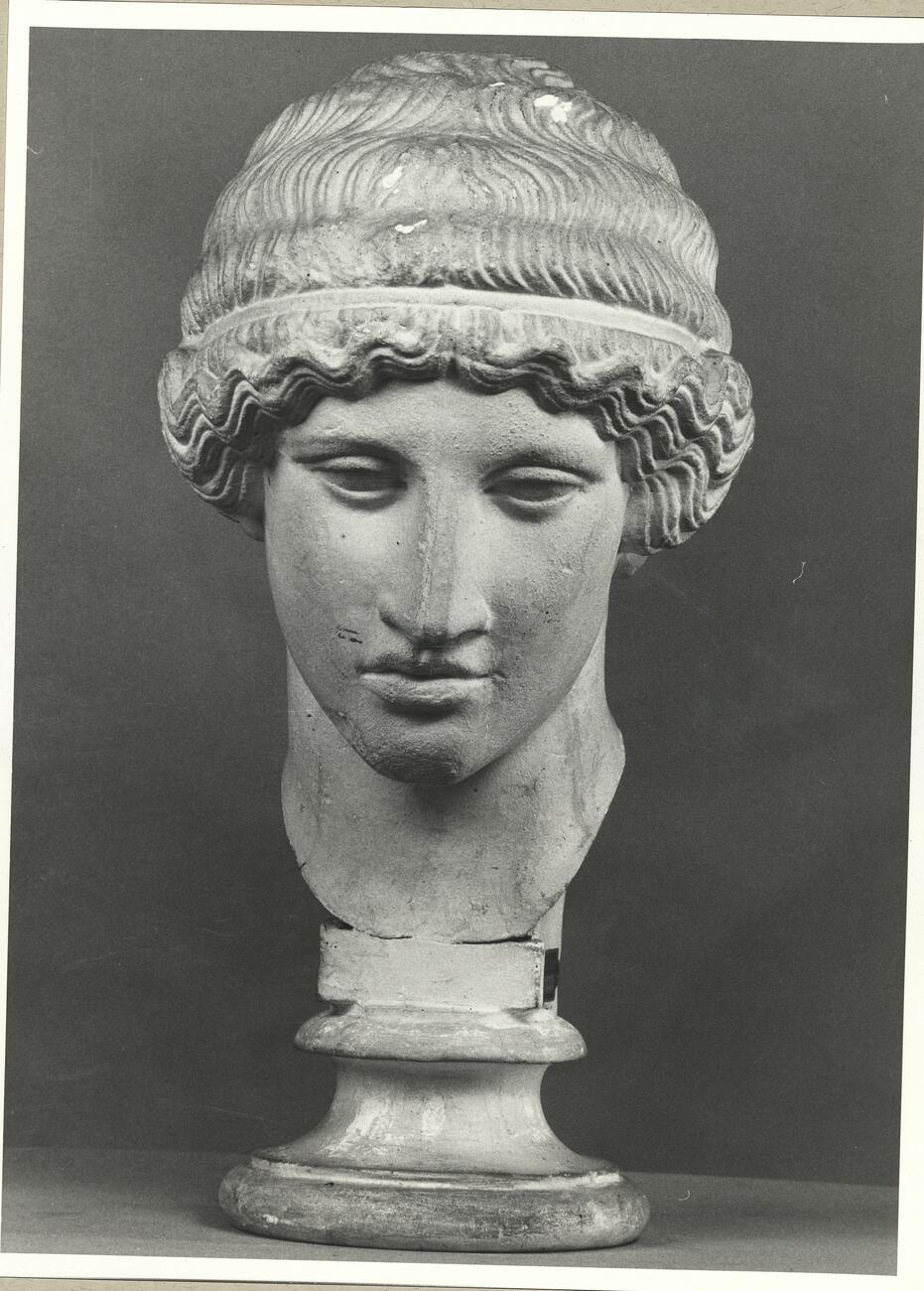 calco di scultura Testa di Efebo 289 photo