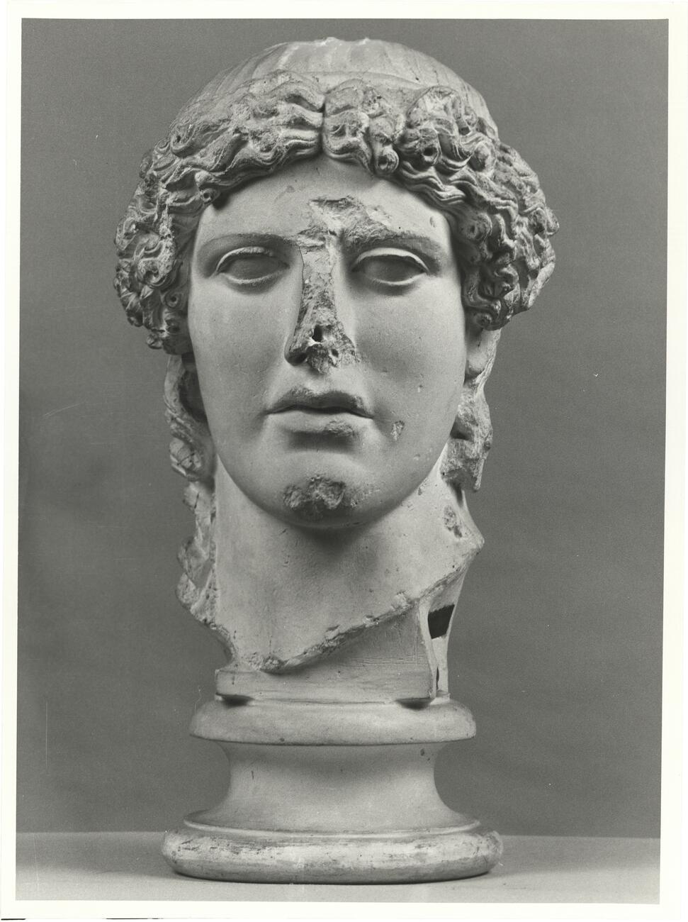 calco di scultura Testa di Apollo tipo Kassel 291 photo