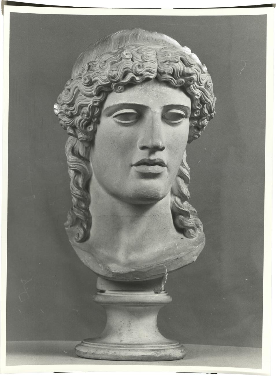 calco di scultura Testa di Apollo tipo Kassel 292 photo