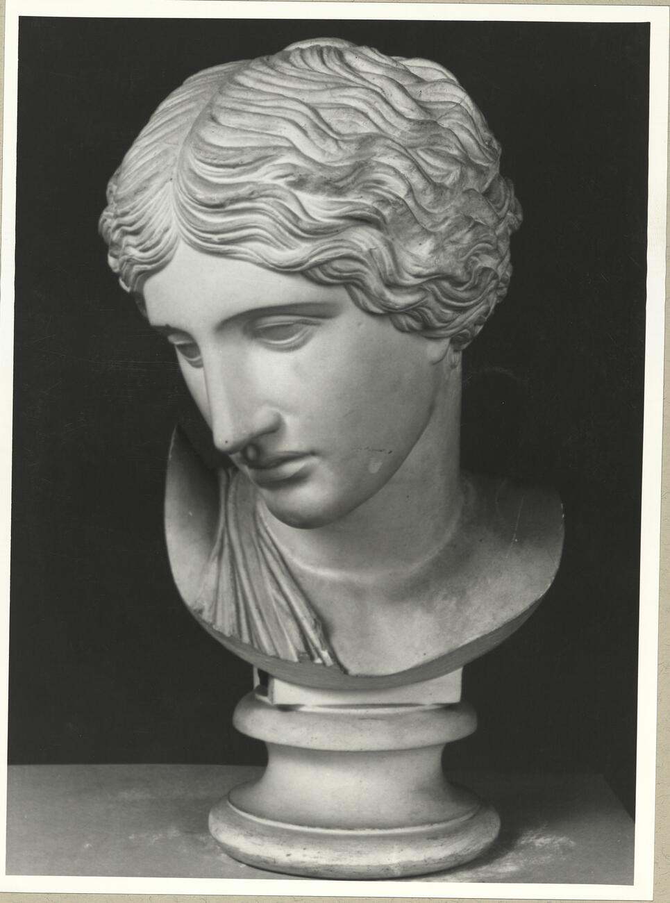 calco di scultura Testa dell'Amazzone tipo Sosikles 301 photo