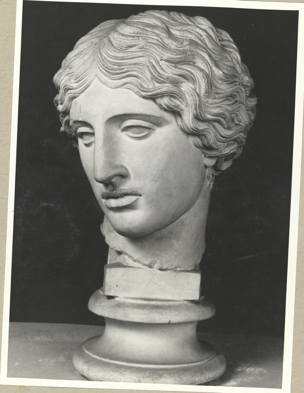 calco di scultura Testa dell'Amazzone tipo Mattei 302 photo