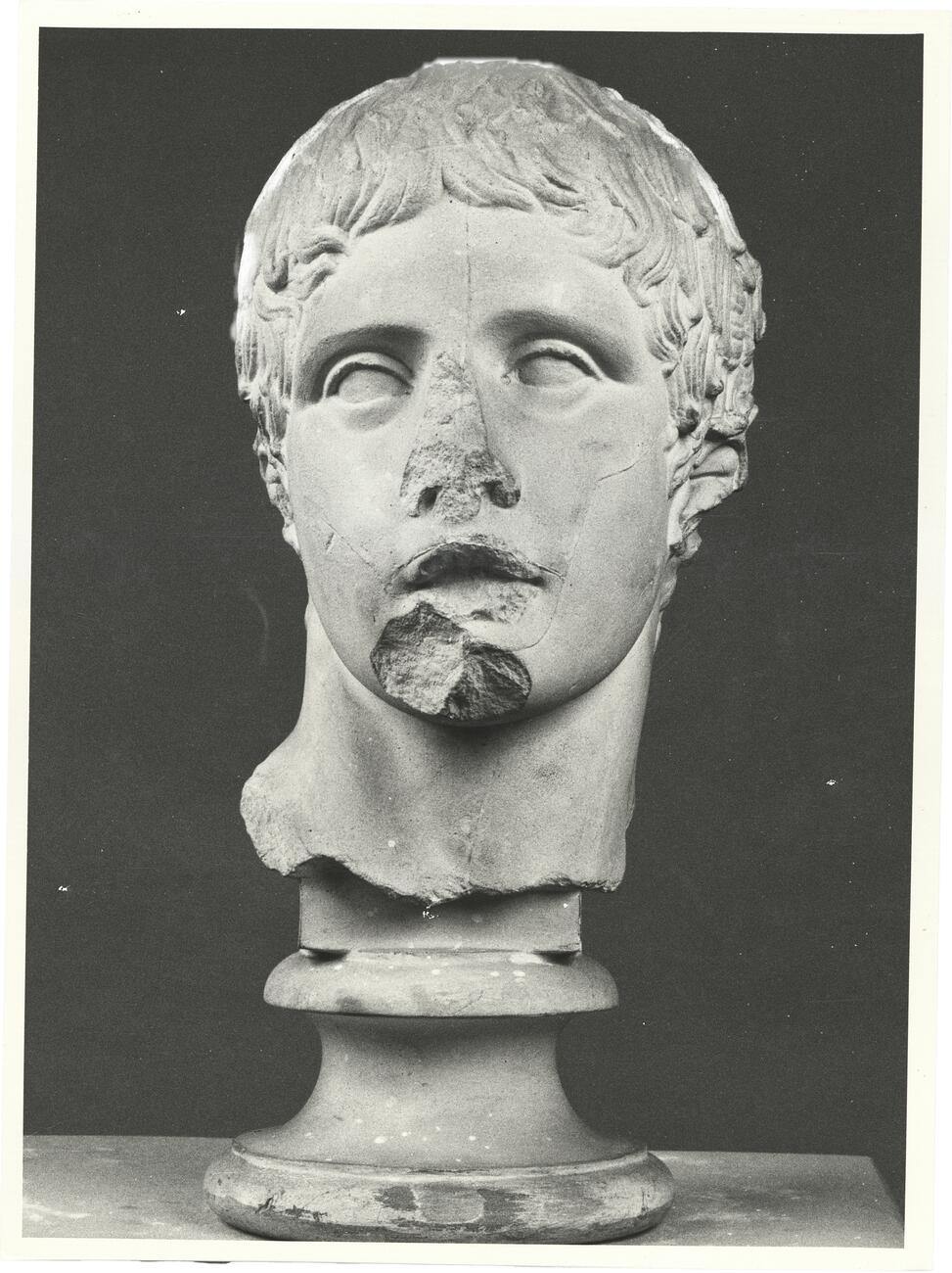 calco di scultura Testa del Doriforo 313 photo