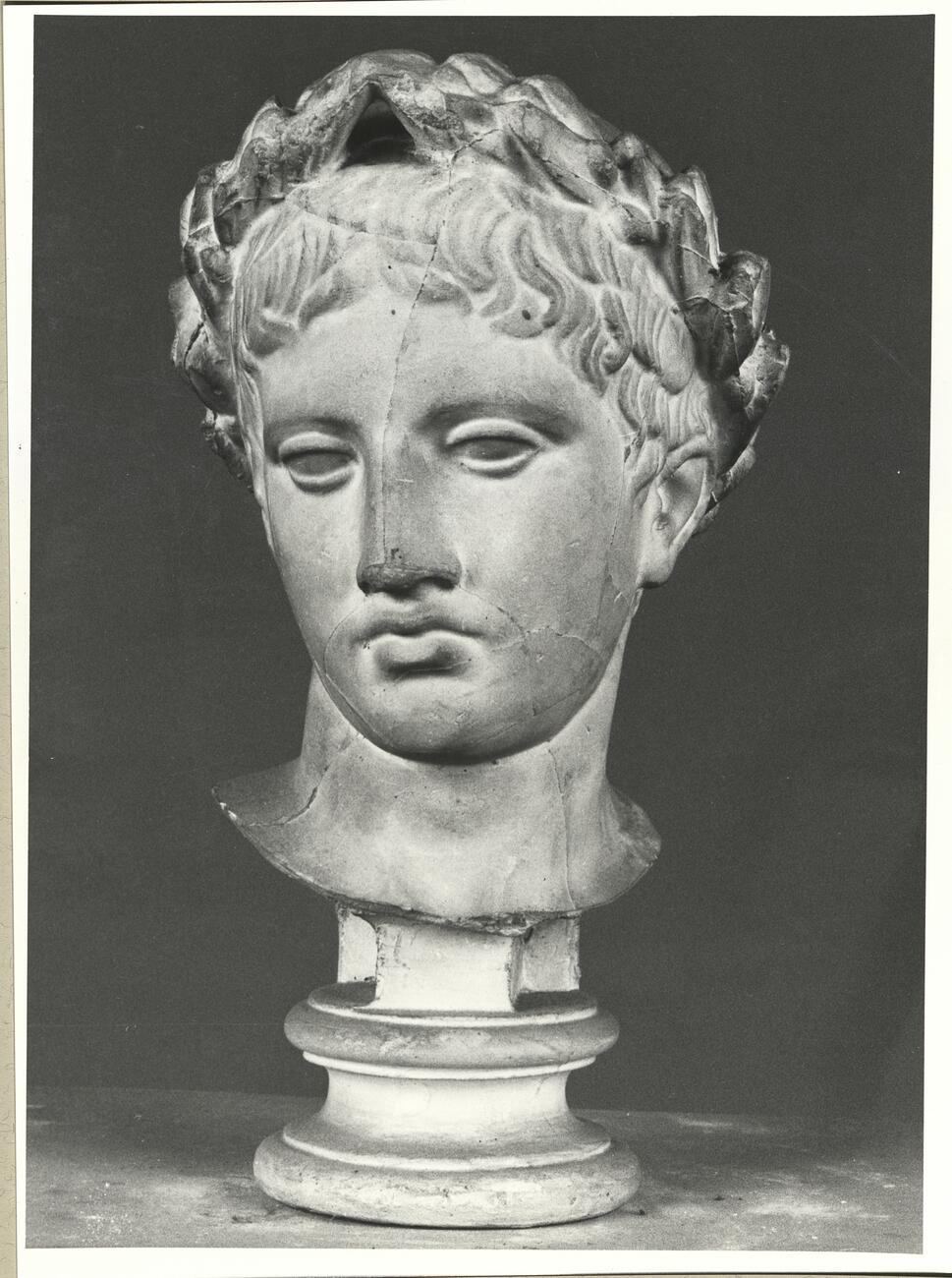 calco di scultura Gruppo di S. Ildefonso part. della testa 314 photo