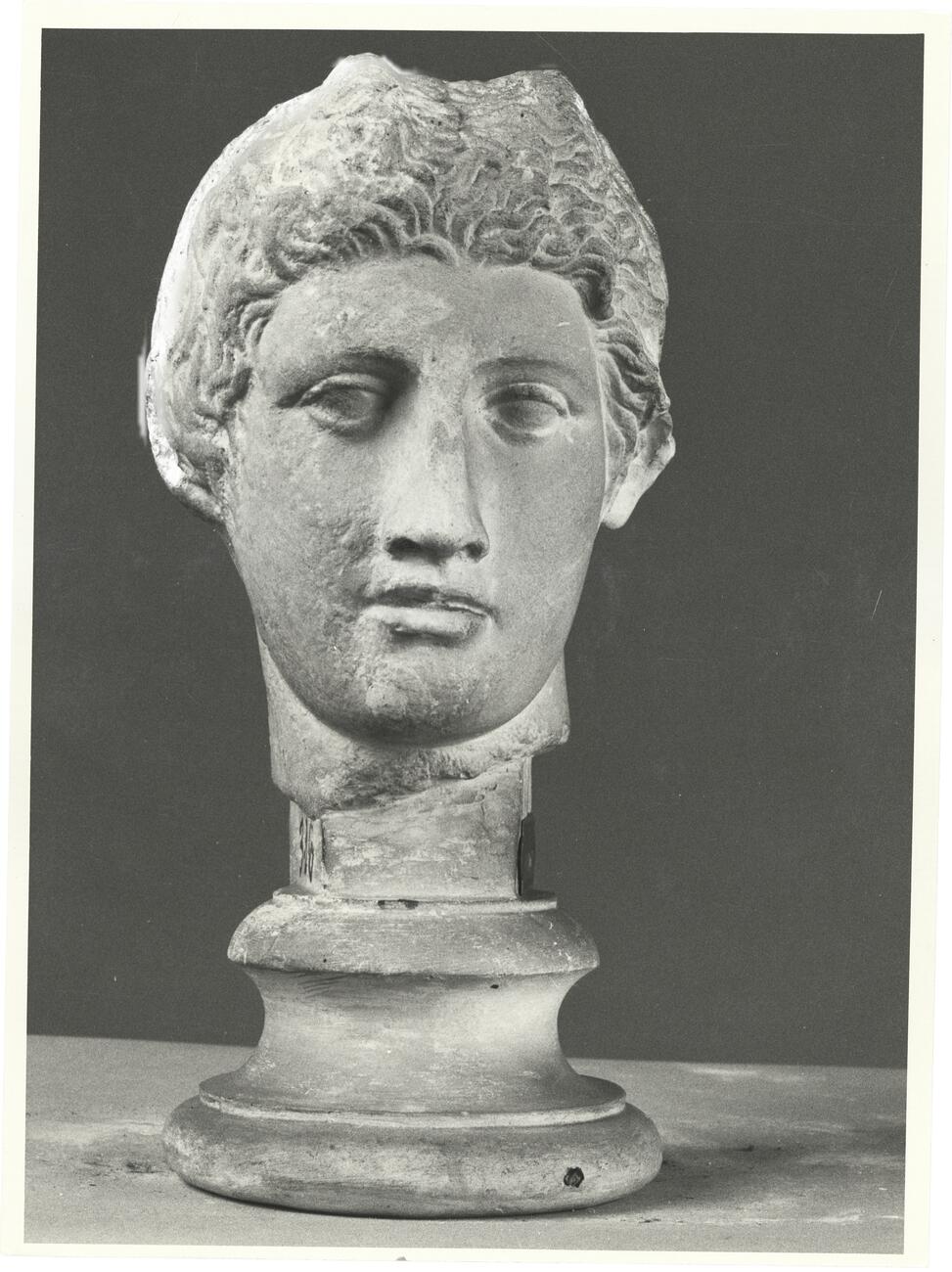 calco di scultura Testa di Pan 316 photo