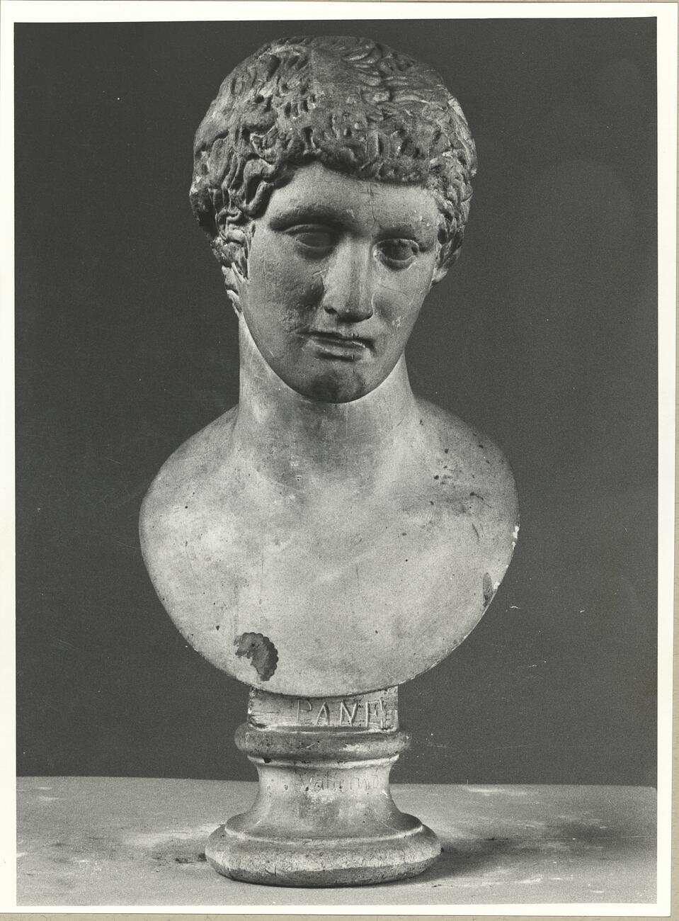 calco di scultura Testa di Pan 317 photo