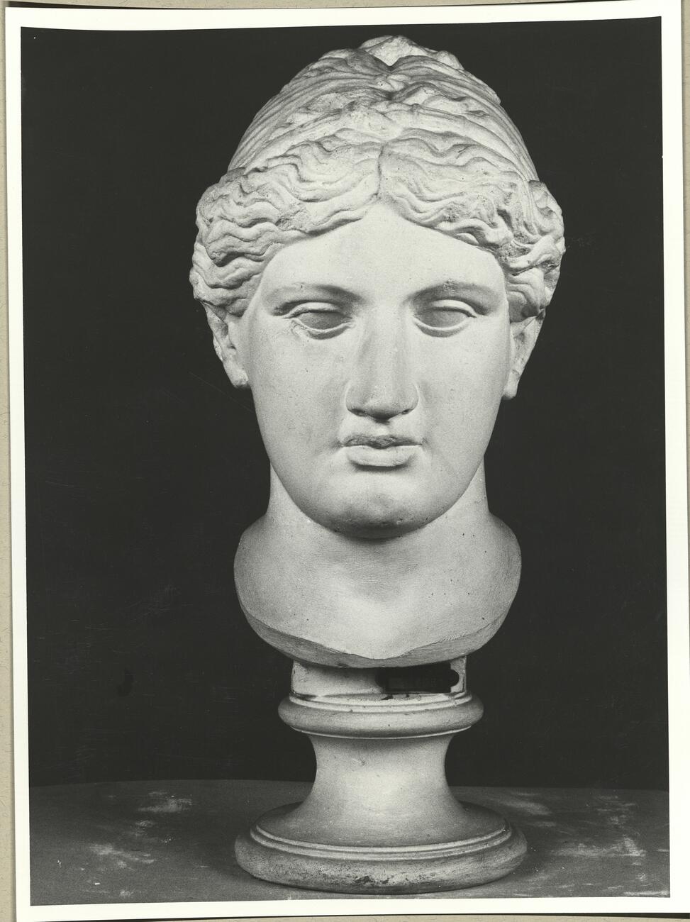 calco di scultura Testa femminile 350 photo