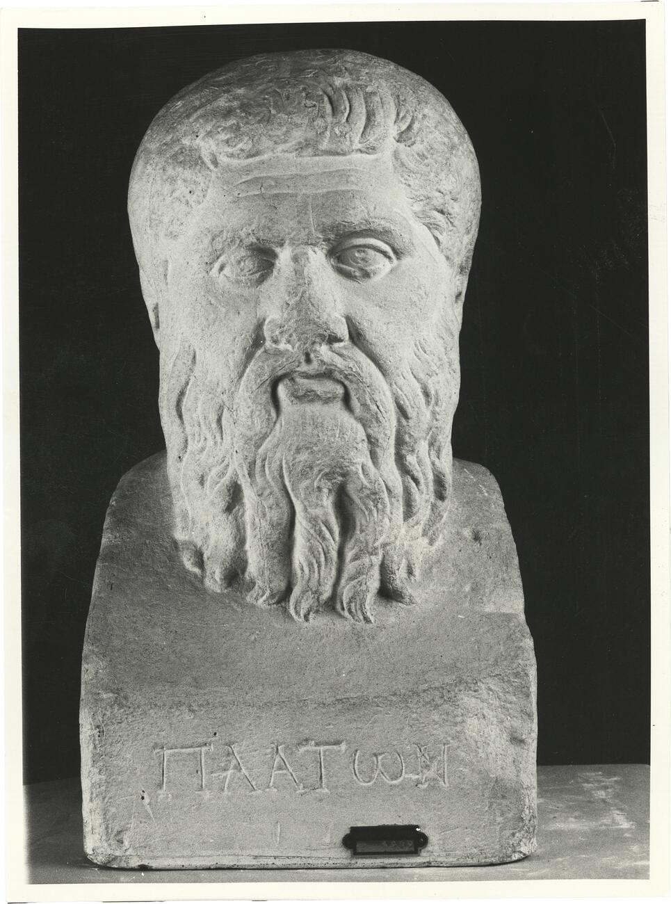 calco di scultura Ritratto di Platone 353 photo