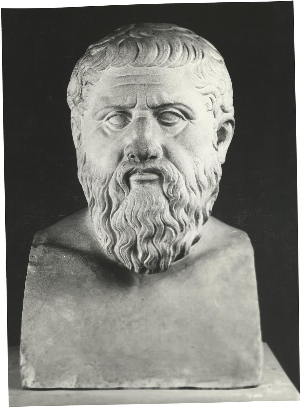 calco di scultura Ritratto di Platone 354 photo