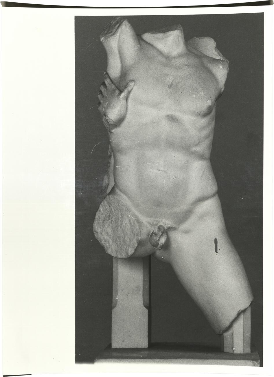 calco di scultura Torso di combattente 365 photo