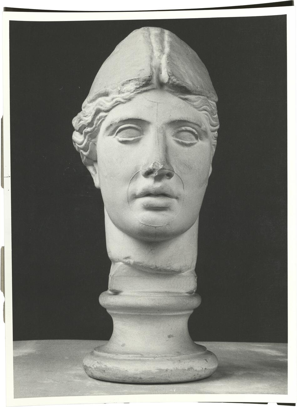 calco di scultura Testa di Atena 366 photo