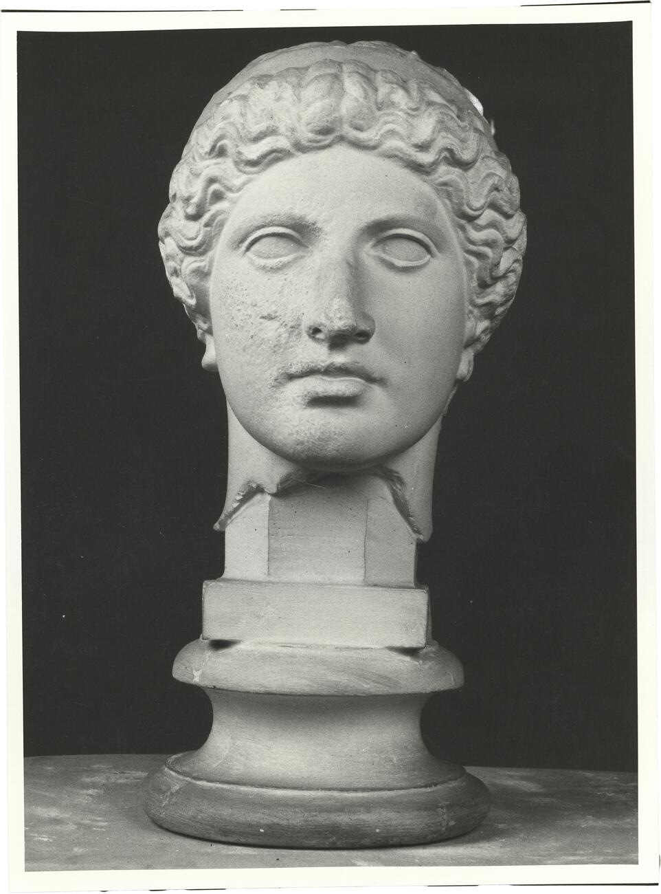 calco di scultura Testa di Hera 368 photo