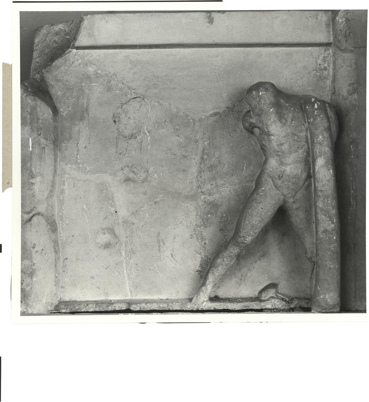 calco di scultura Metopa del lato Sud dell'Ephaisteion: Teseo e Sinis 397 photo