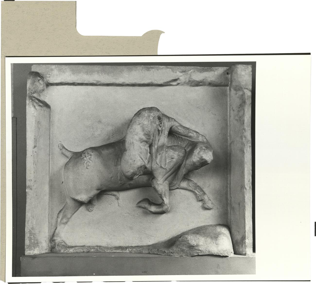calco di scultura Metopa de lato Sud dell'Ephaisteion: Teseo e il toro di Maratona 398 photo
