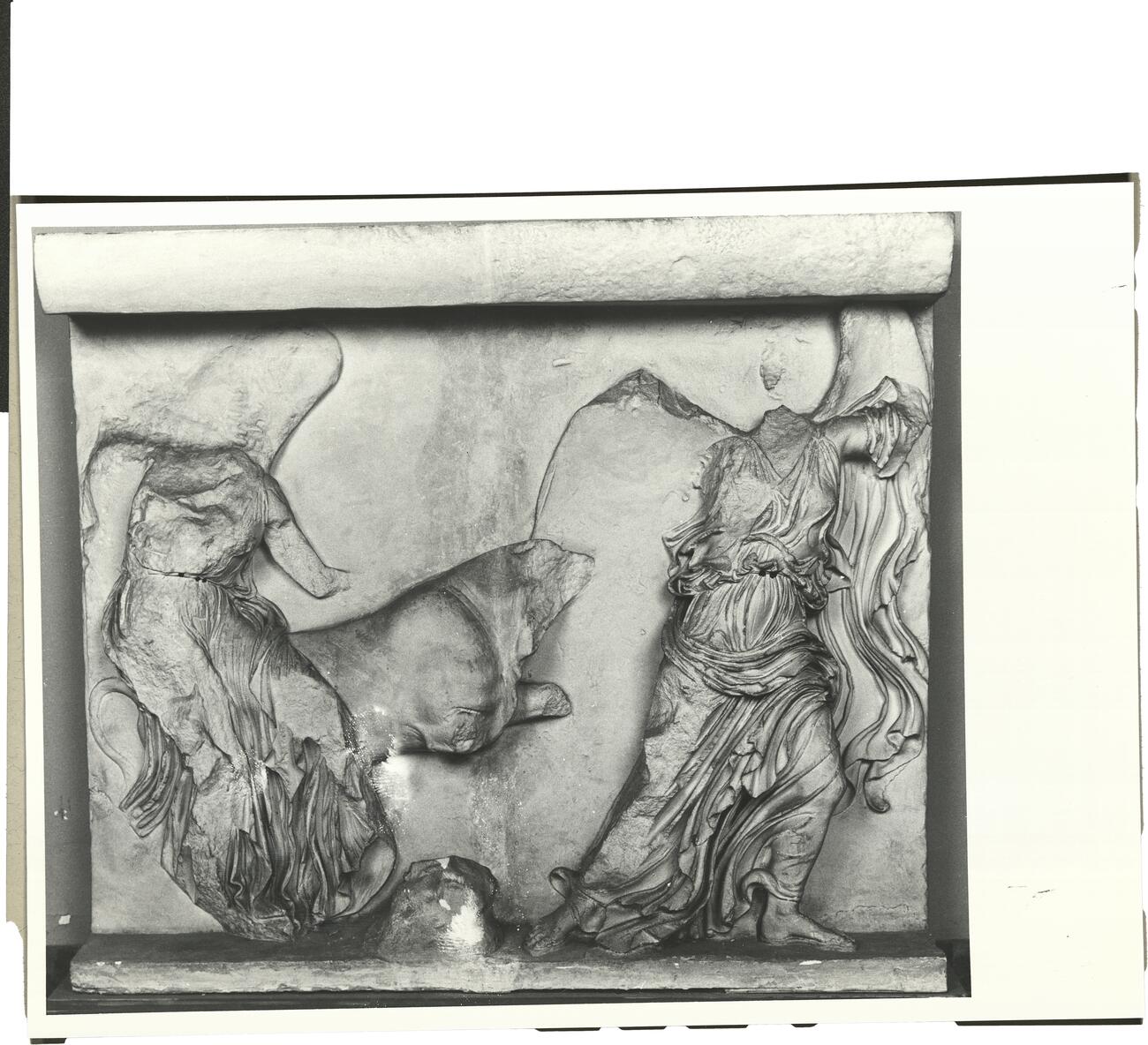 calco di scultura Balaustra del tempio di Atena Nike: Vittorie con toro 500 photo