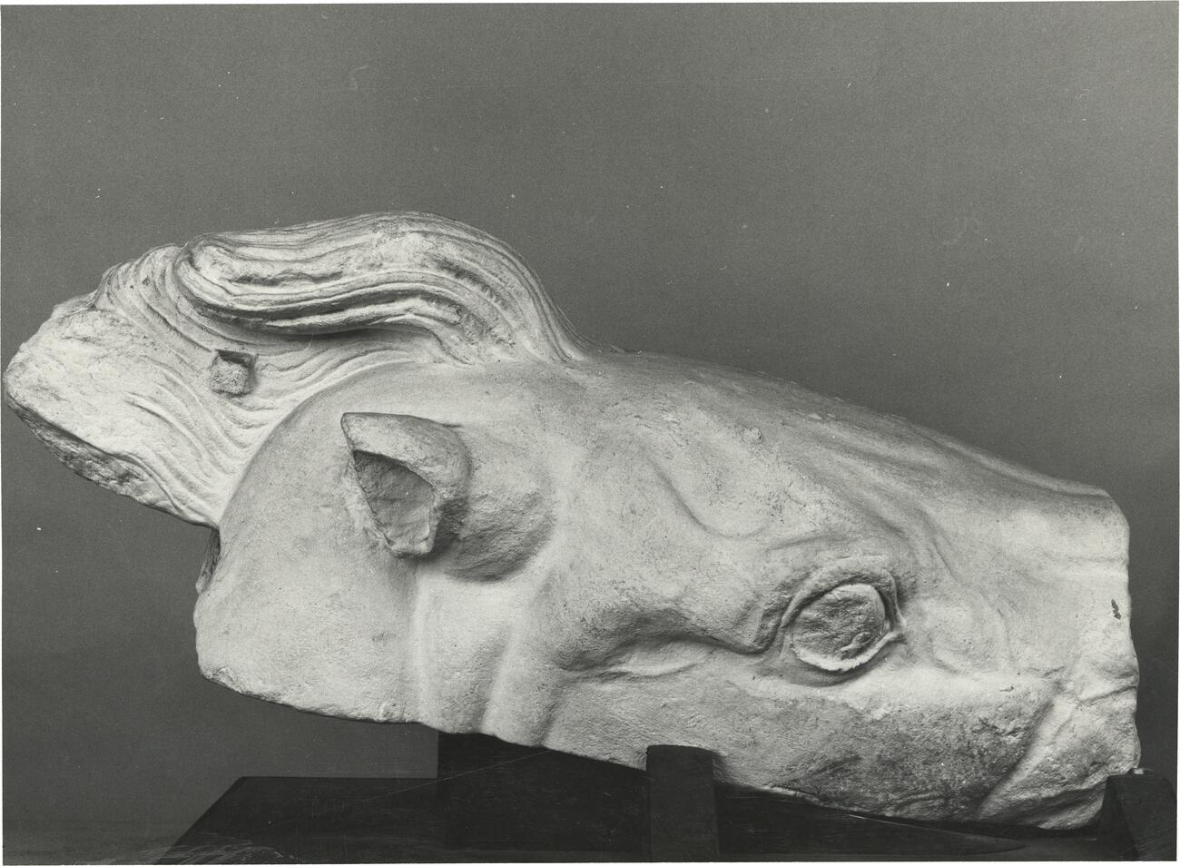 calco di scultura Testa di cavallo. Vaticano, Sala degli Originali Greci. 516 photo