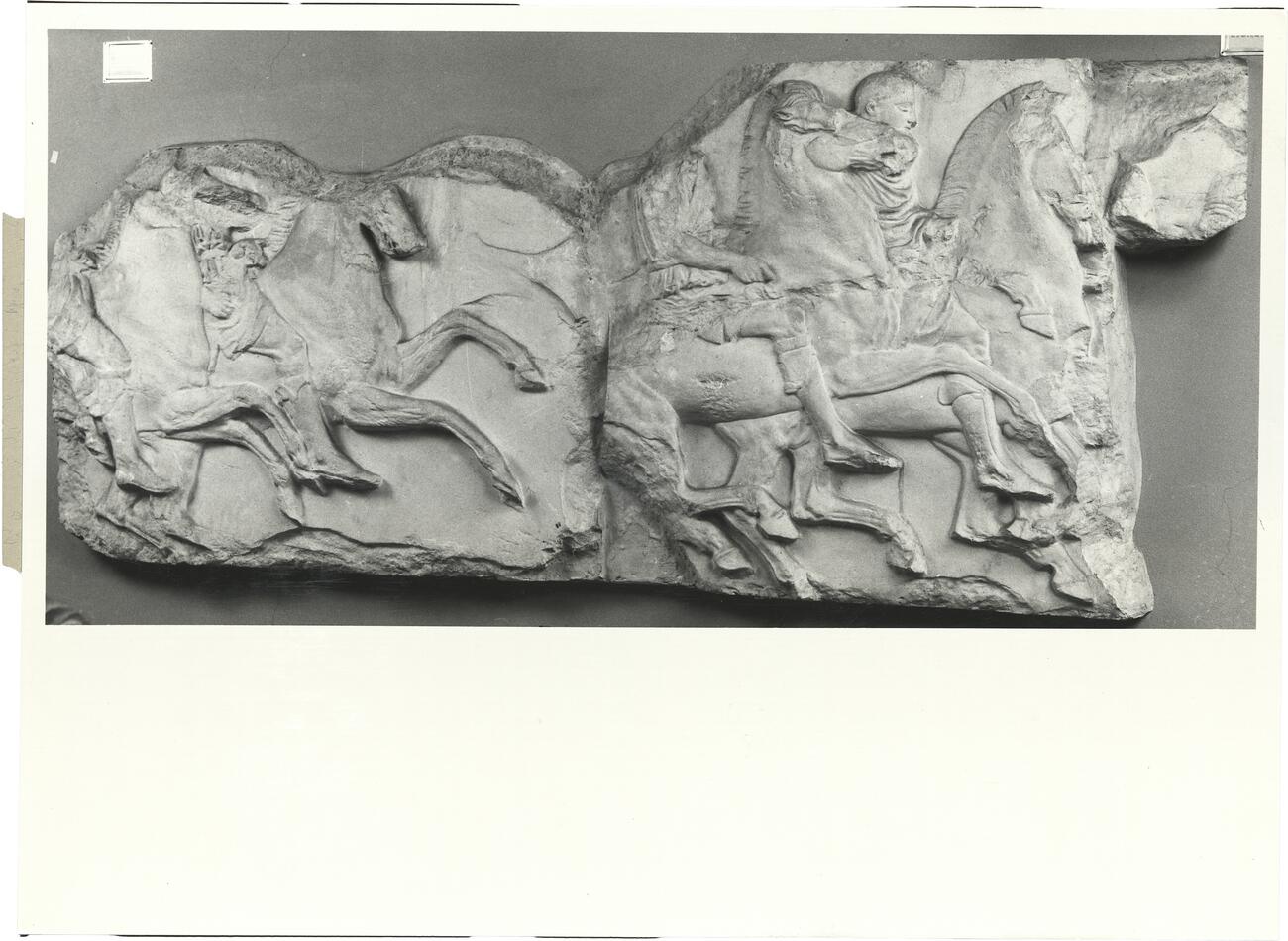 calco di scultura Cavalieri, fregio del lato Sud 517 photo