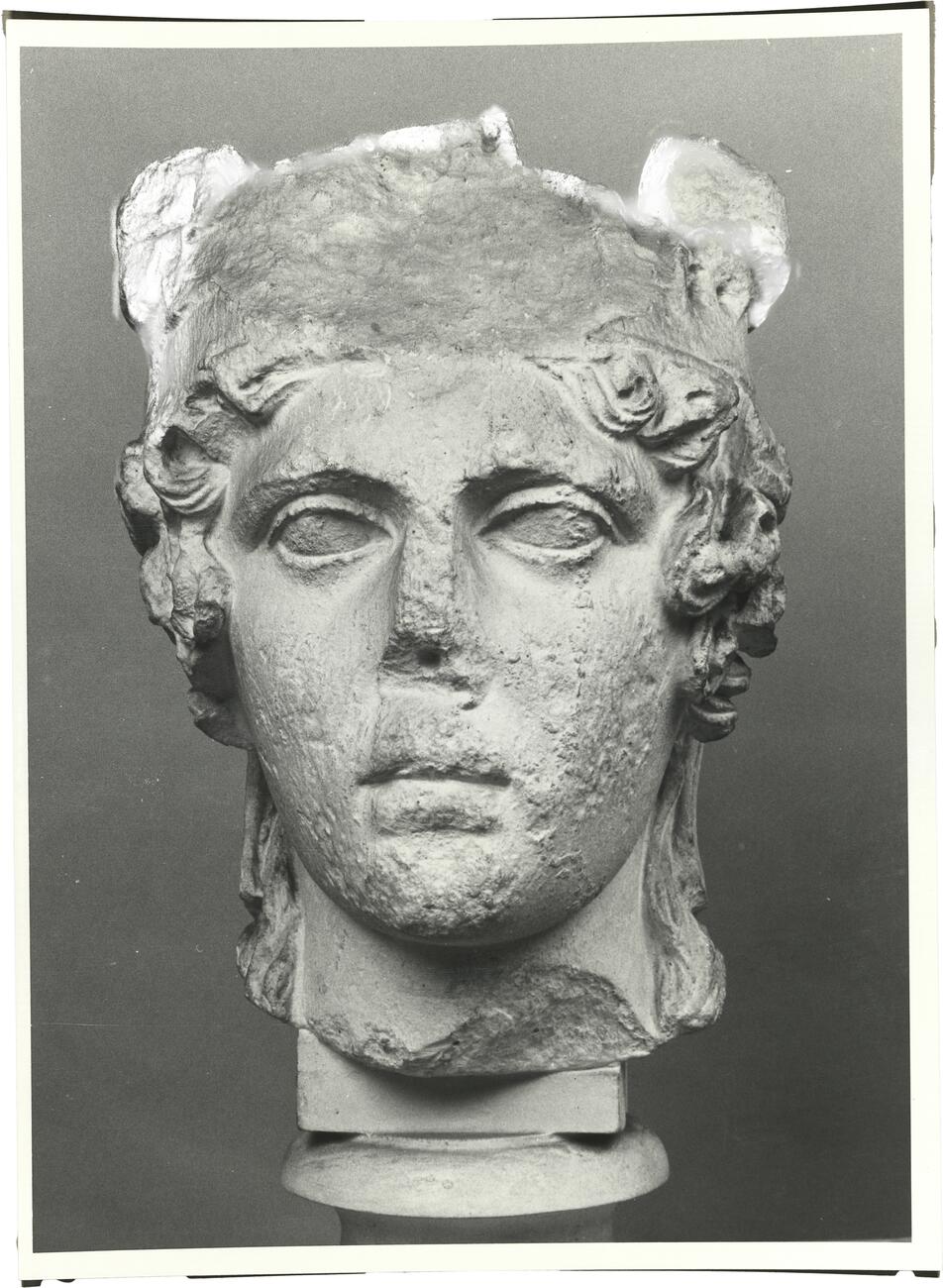 calco di scultura Testa di Atena 529 photo