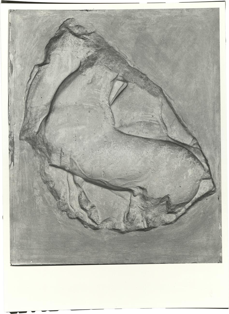 calco di scultura Cavalli: fregio lato nord del Partenone 550 photo
