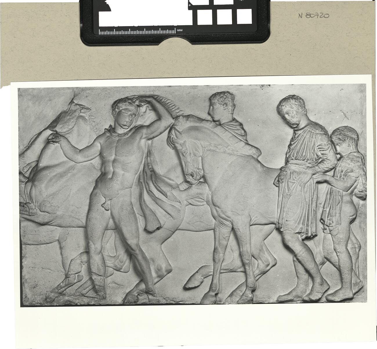 calco di scultura Cavalieri, fregio del lato Nord 555 photo