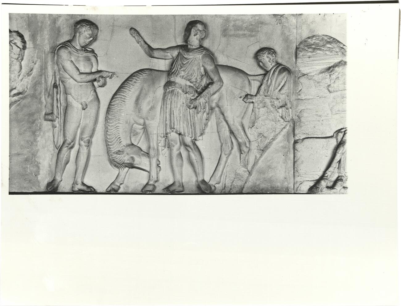 calco di scultura Cavalieri, fregio lato Ovest del Partenone 556 photo