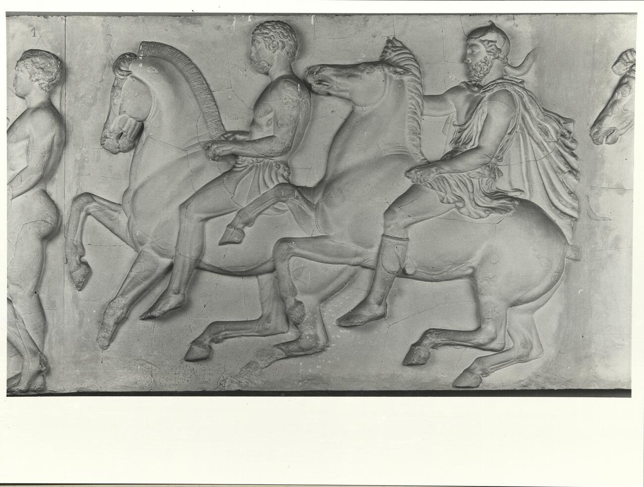 calco di scultura Cavalieri, fregio lato Ovest del Partenone 569 photo