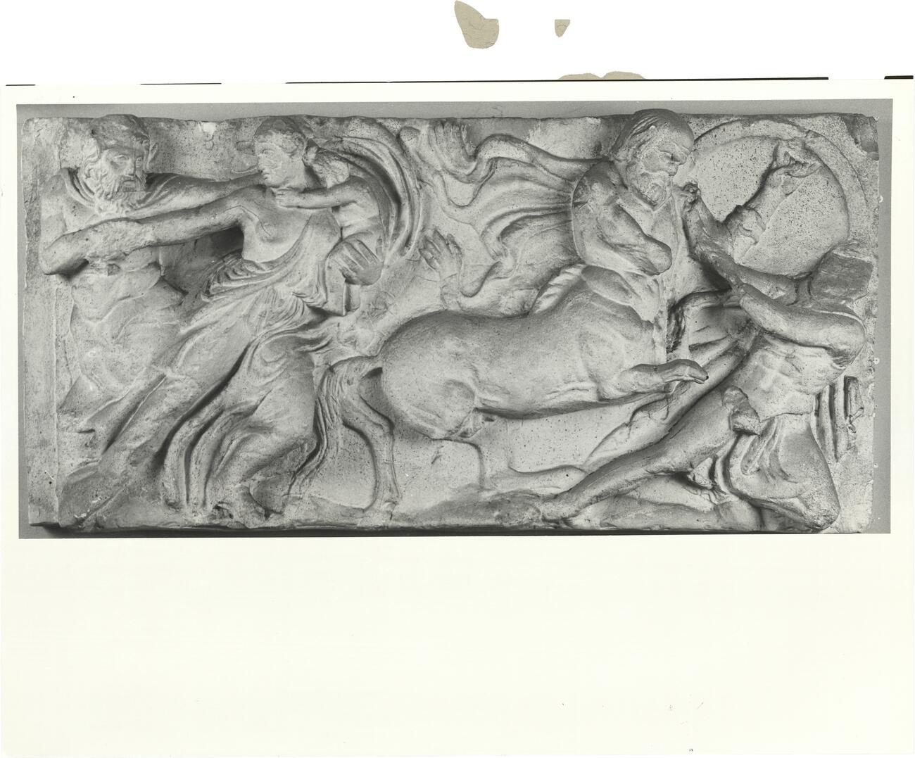 calco di scultura Centauromachia, Tempio di Apollo Epicurio a Bassae. Parte del rilievo del lato ovest del fregio 622 photo