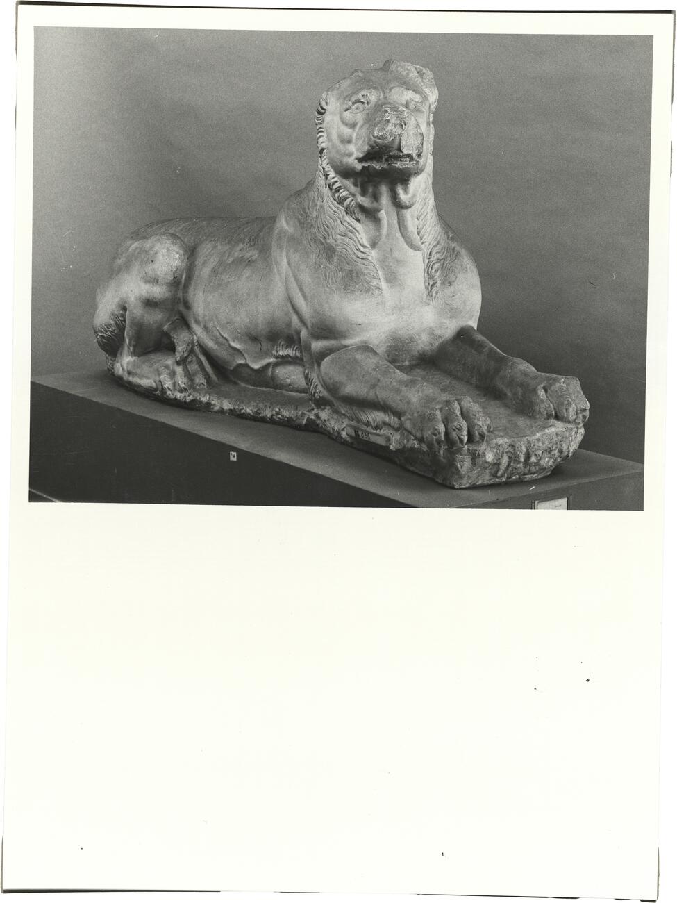 calco di scultura Molosso del monumento funerario di Lysimachides 631 photo
