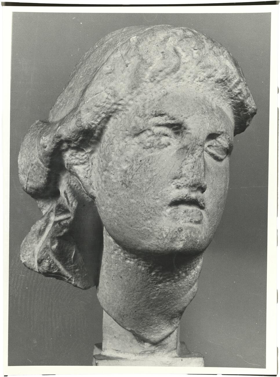 calco di scultura Testa femminile 645 photo