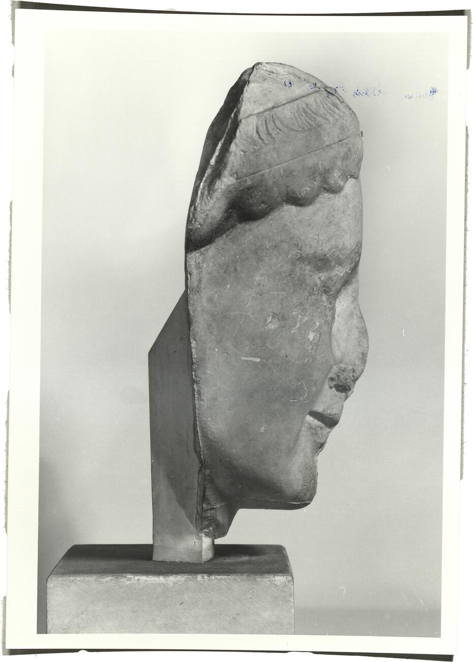 calco di scultura Testa di kouros da Egina 64 photo