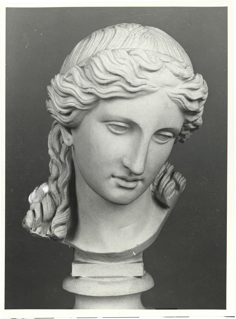 calco di scultura Testa di Eirene 664 photo
