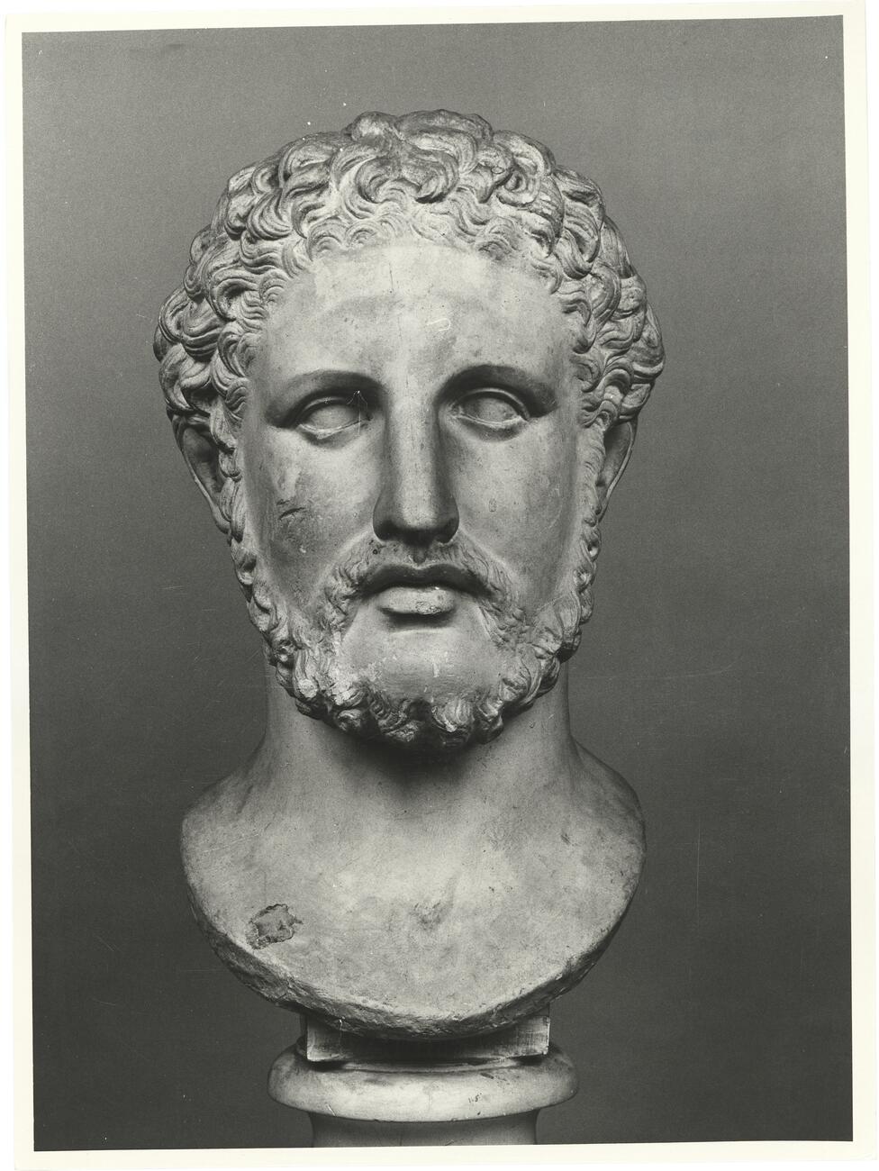 calco di scultura Ritratto maschile (tipo Alcibiade-Filippo) 675 photo