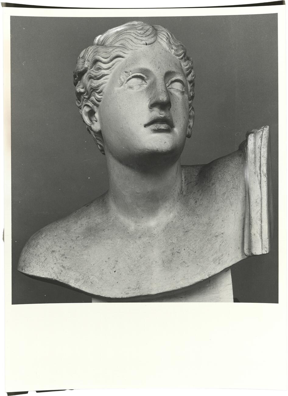 calco di scultura Busto di “Pothos” 679 photo