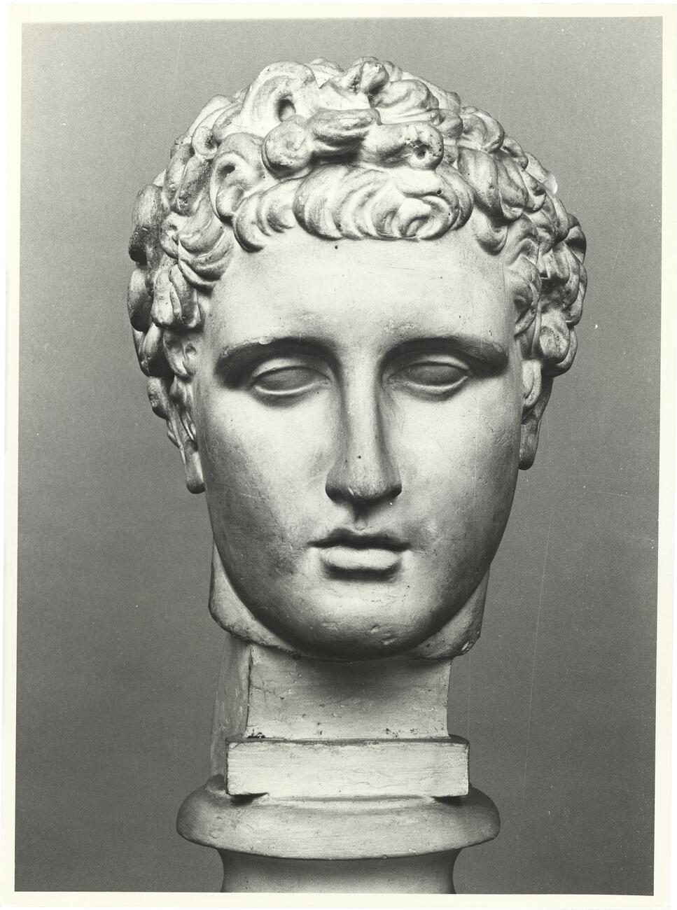 calco di scultura Testa dell’Ermes del Belvedere (c.d. Antinoo) 685 photo
