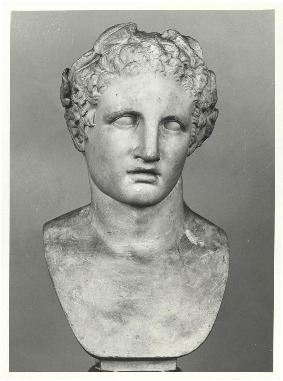 calco di scultura Testa di eracle coronata di pioppo 686 photo