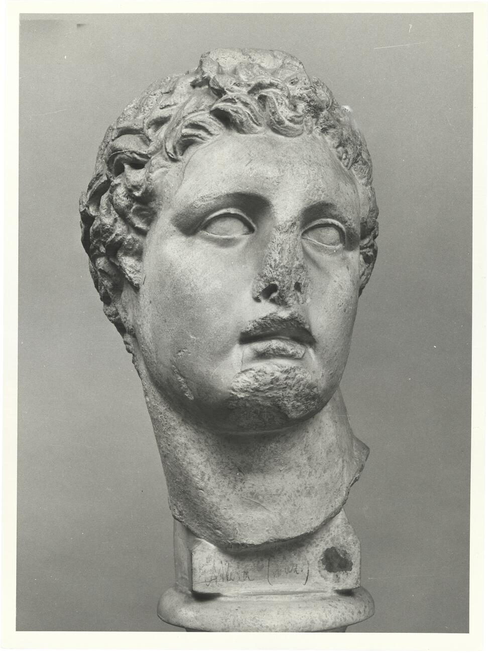 calco di scultura Testa di atleta (c.d. Meleagro o Dioniso) 689 photo