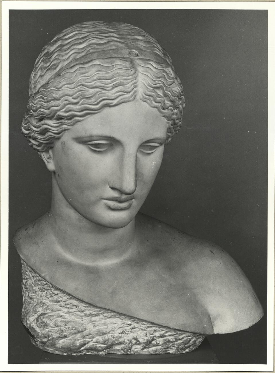 calco di scultura Busto di Afrodite da Arles 720 photo