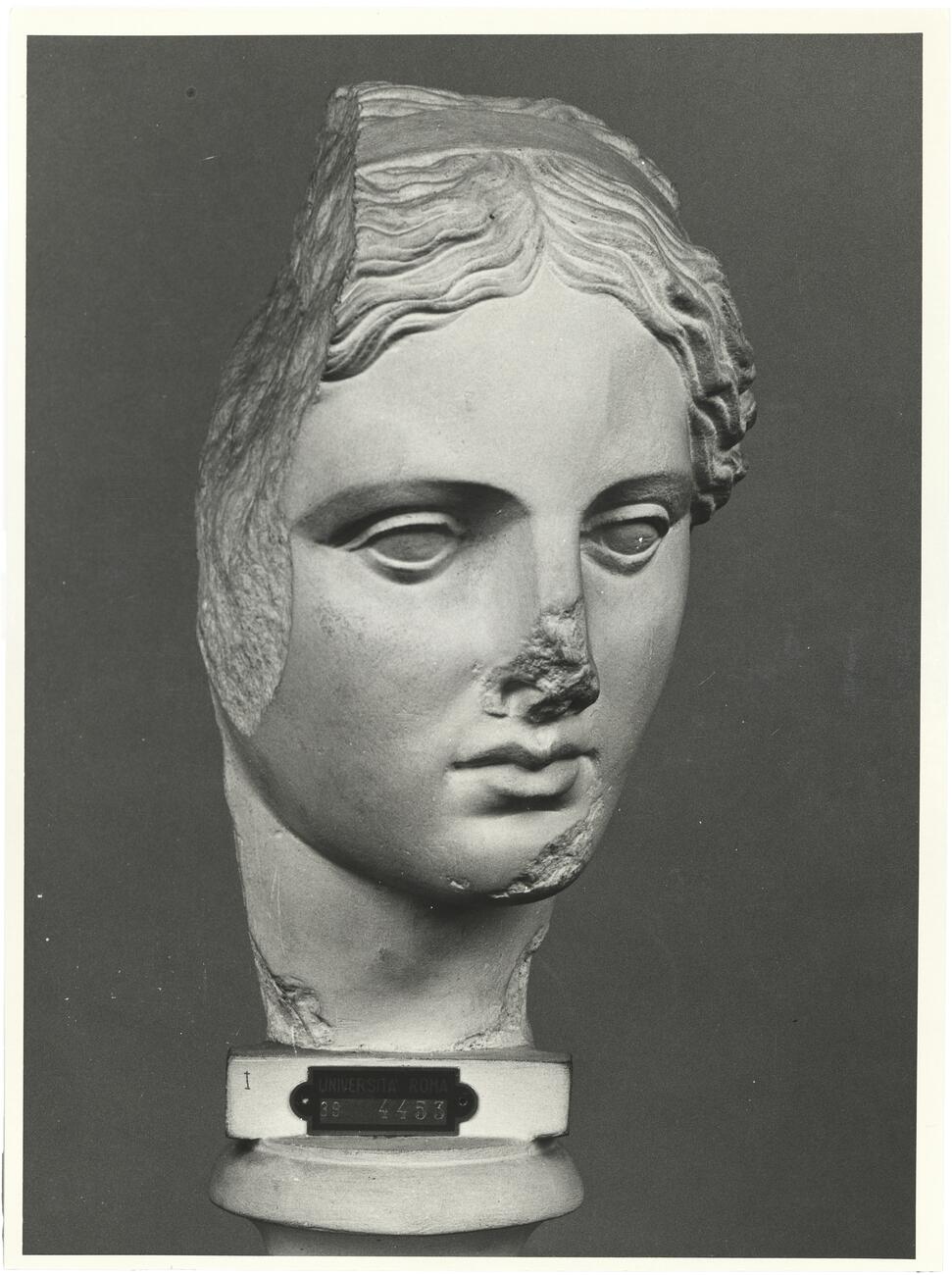 calco di scultura Testa di Apollo Sauroctono 723 photo