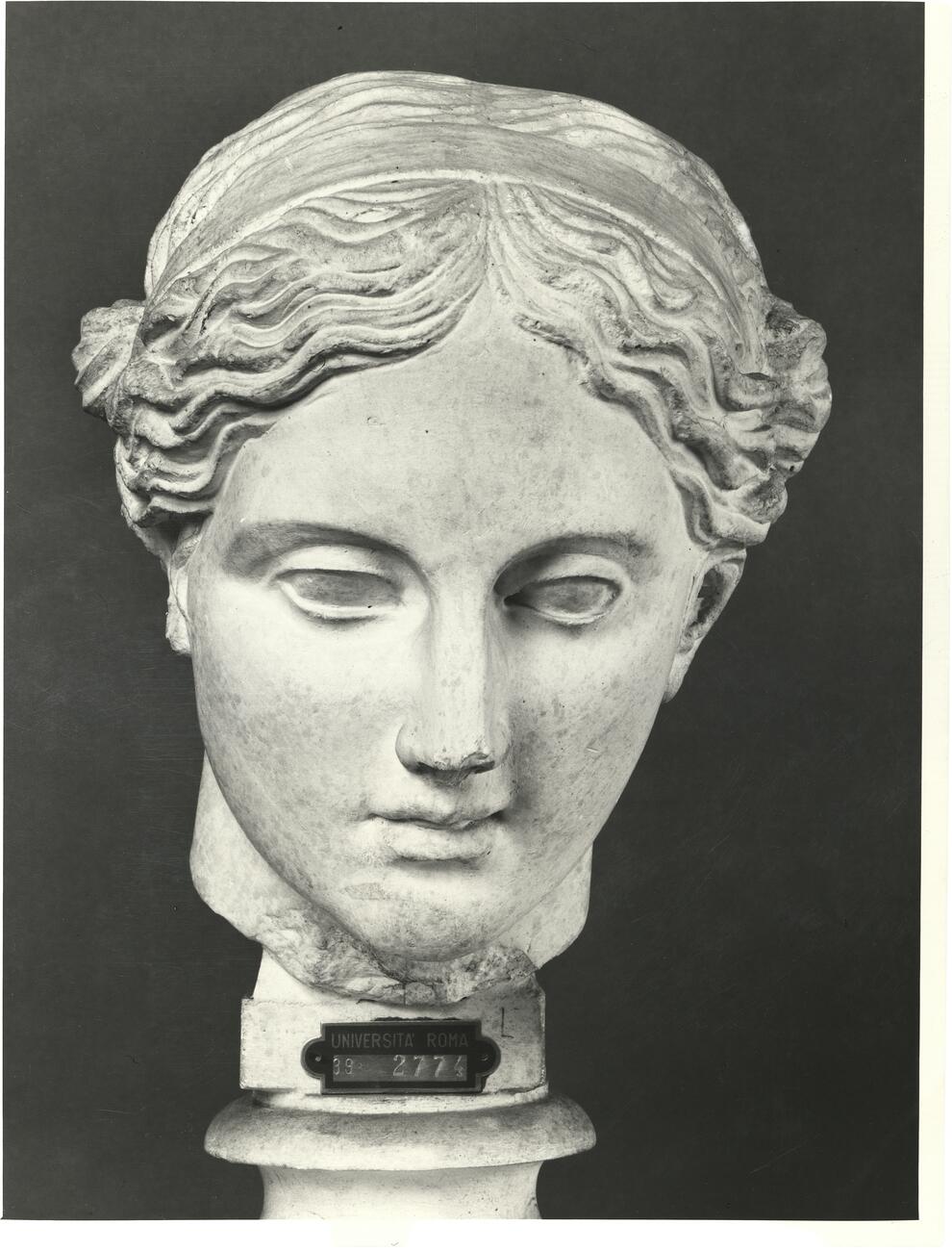 calco di scultura Testa emendata dell’Apollo Sauroctono dal Palatino 724 photo