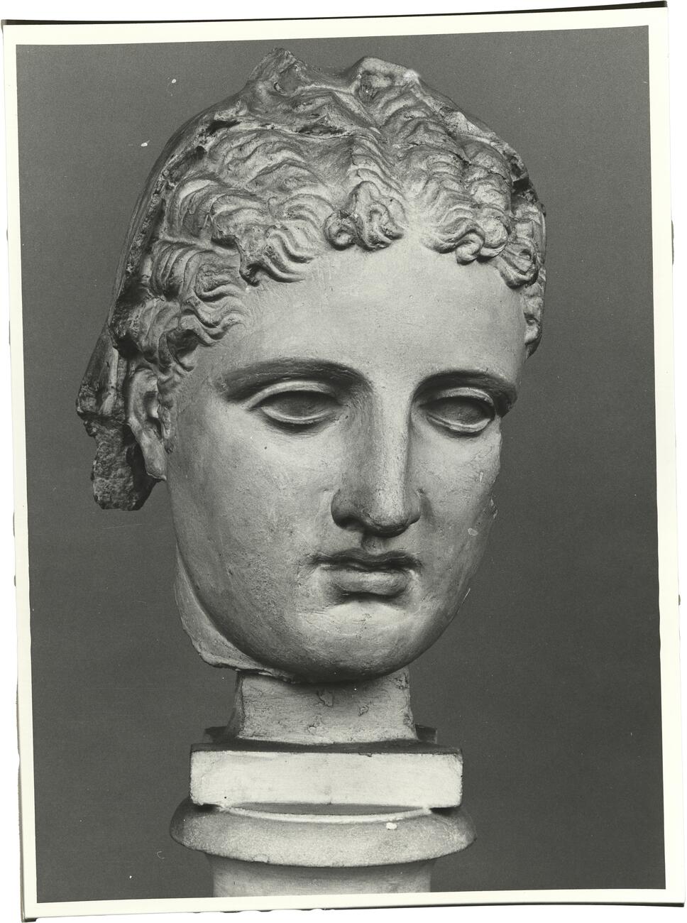 calco di scultura Testa della c.d. Grande Ercolanese, da Butrinto 726 photo