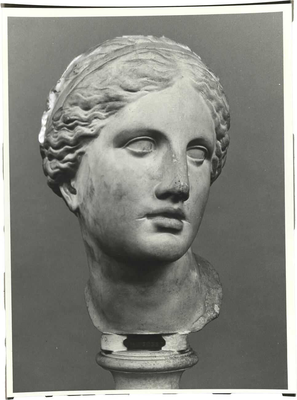 calco di scultura Testa di Afrodite, c.d. “Testa Kaufmann” 727 photo