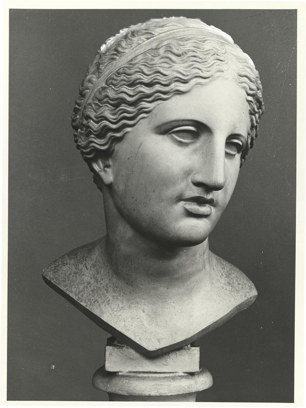 calco di scultura Testa dell’Afrodite Cnidia 730 photo