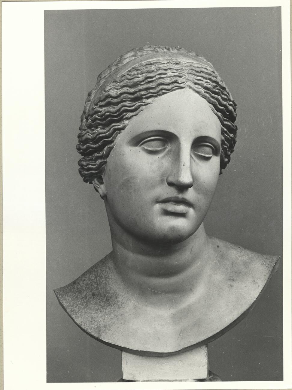 calco di scultura Testa dell’Afrodite Cnidia (tipo Belvedere) 731 photo