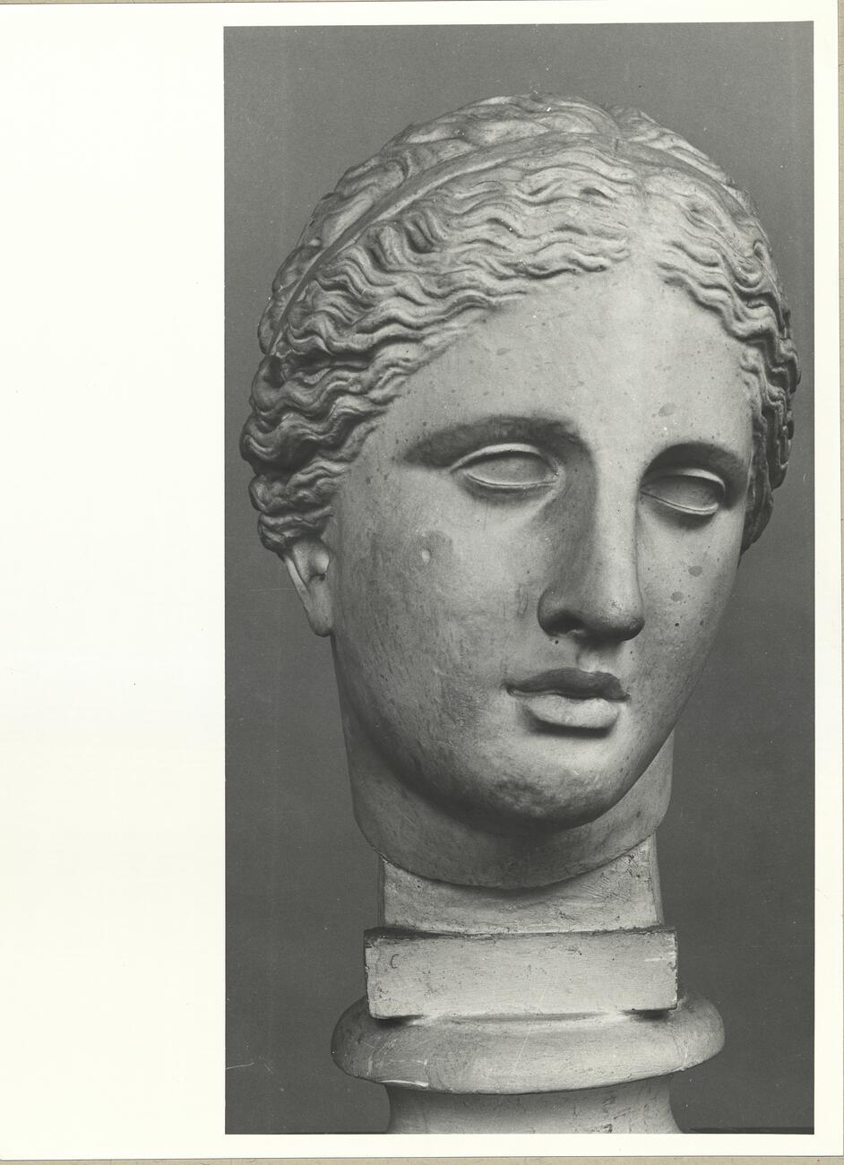 calco di scultura Testa dell’Afrodite Cnidia (tipo Colonna) 732 photo