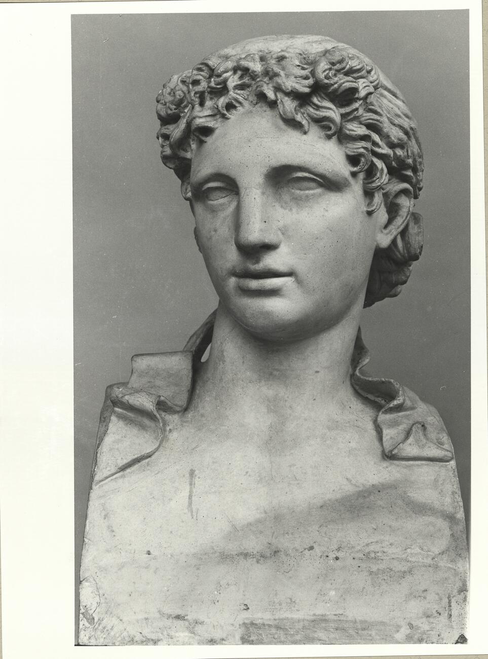 calco di scultura Erma di Dionisio Tauro (tipo Vaticano-Albani) 736 photo
