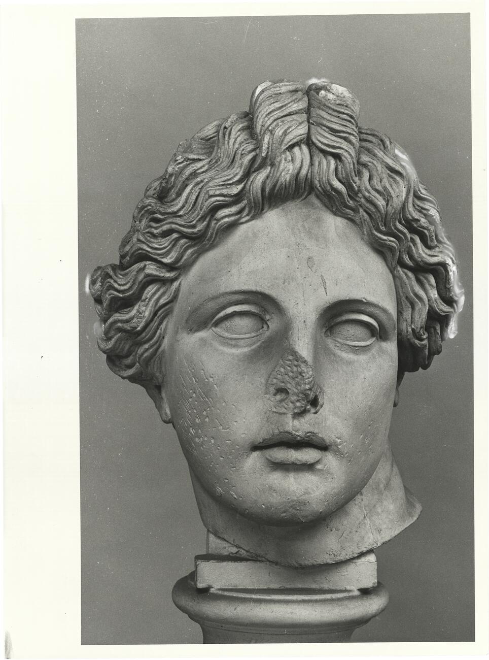 calco di scultura Testa di Apollo Liceo 737 photo