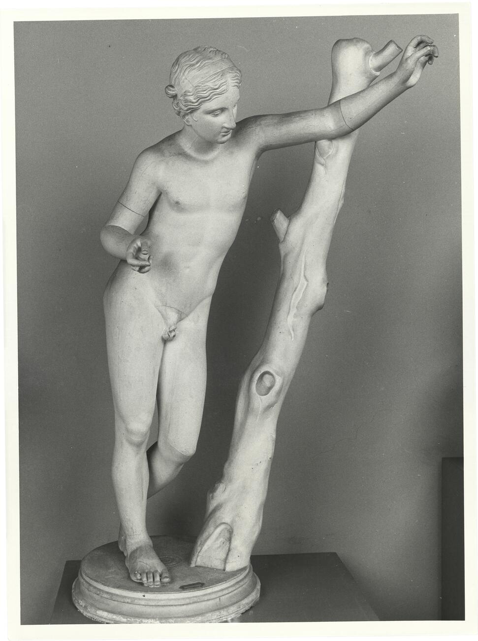 calco di scultura Statua dell'Apollo Sauroktono, da Roma 742 photo
